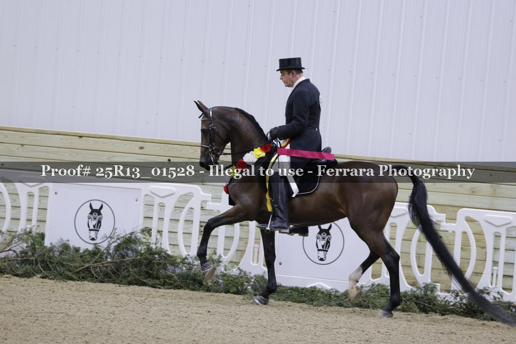 Proof Number 25R13_01528