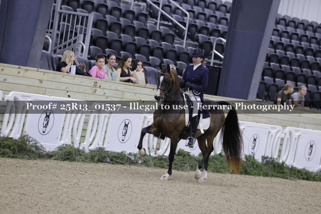 Proof Number 25R13_01537