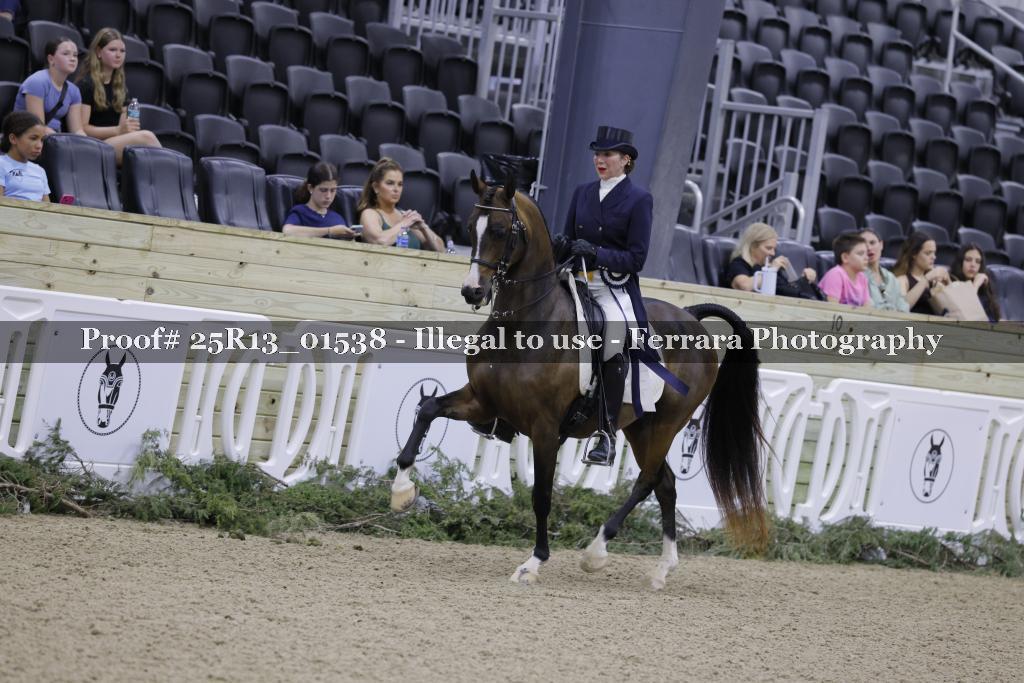 Proof Number 25R13_01538