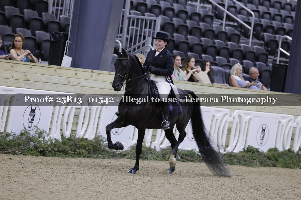 Proof Number 25R13_01542