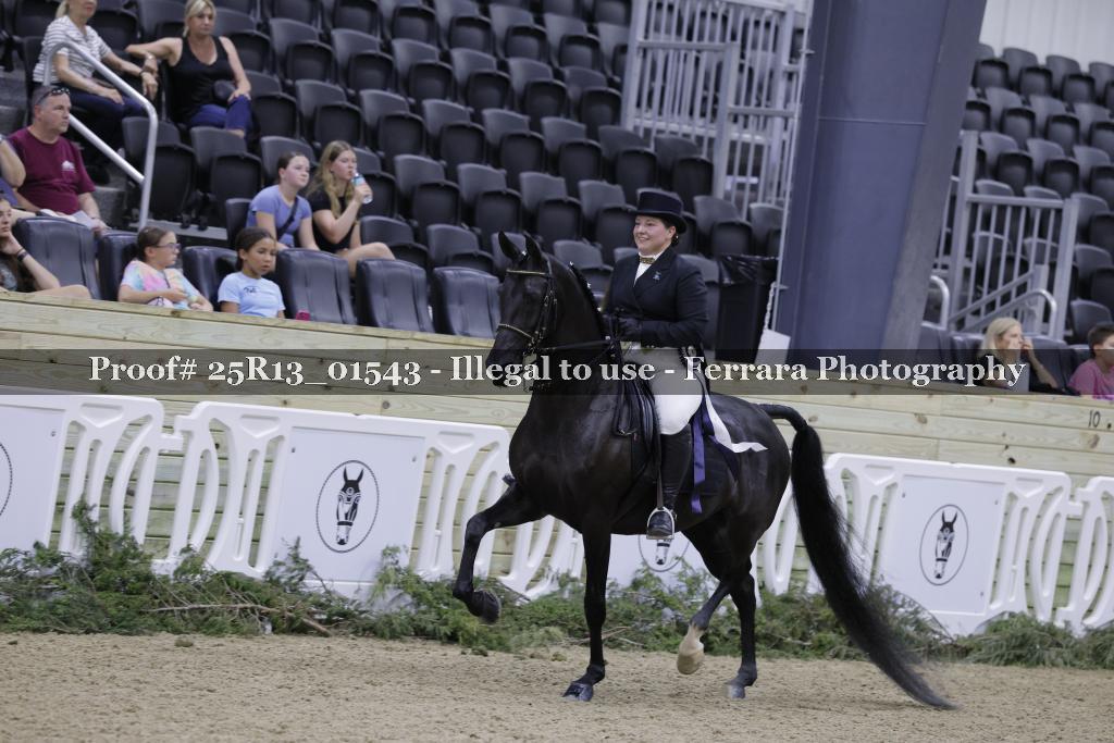Proof Number 25R13_01543