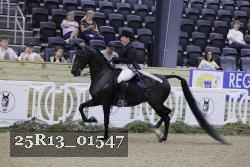 25R13_01547 thumbnail
