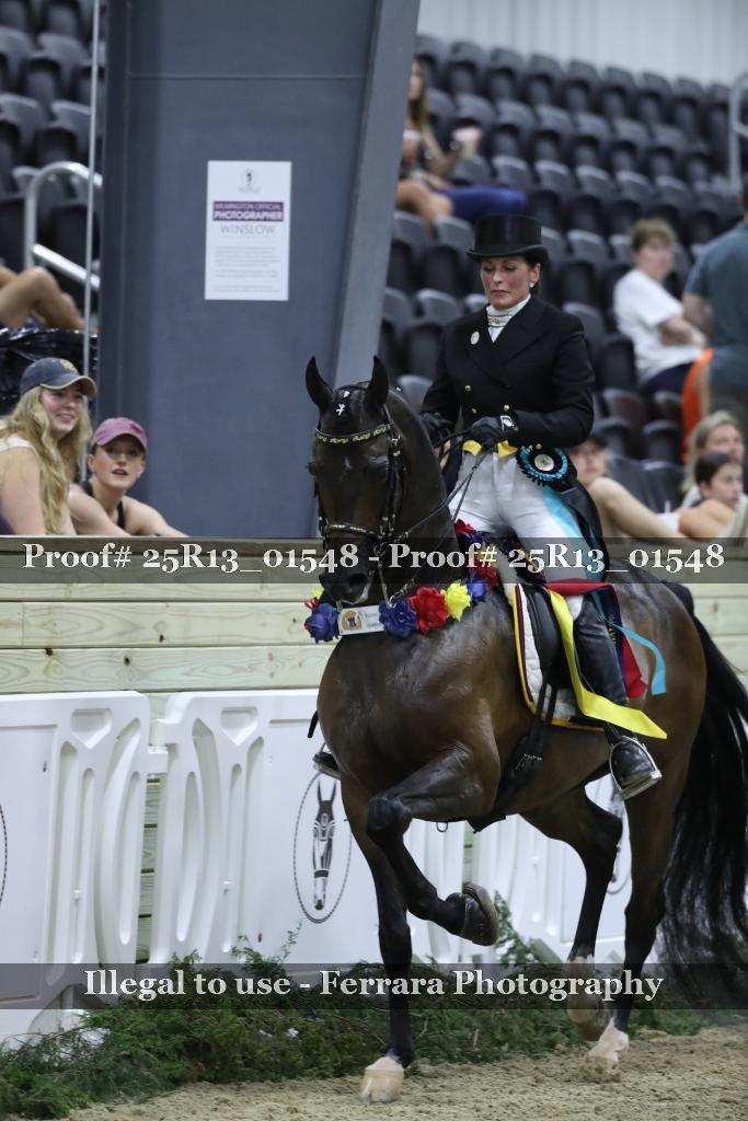 Proof Number 25R13_01548