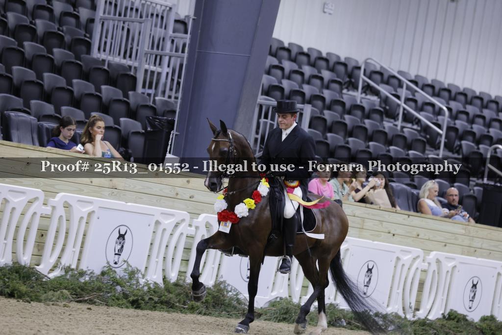 Proof Number 25R13_01552