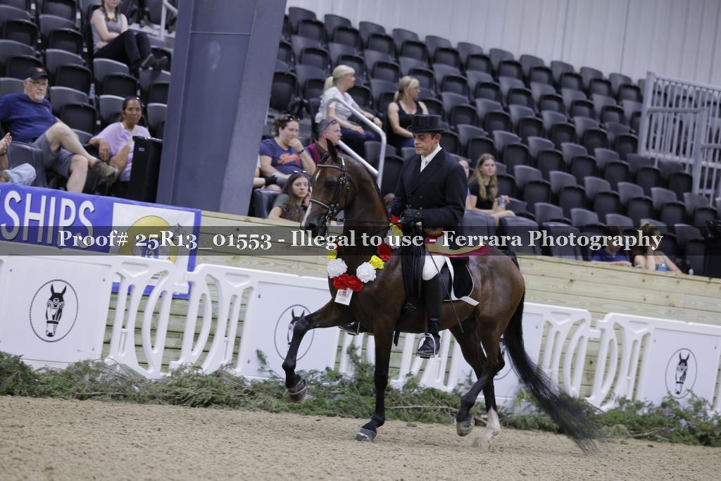 Proof Number 25R13_01553