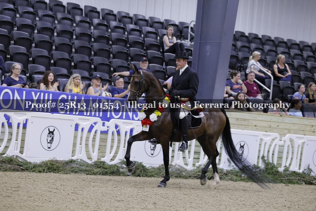 Proof Number 25R13_01554