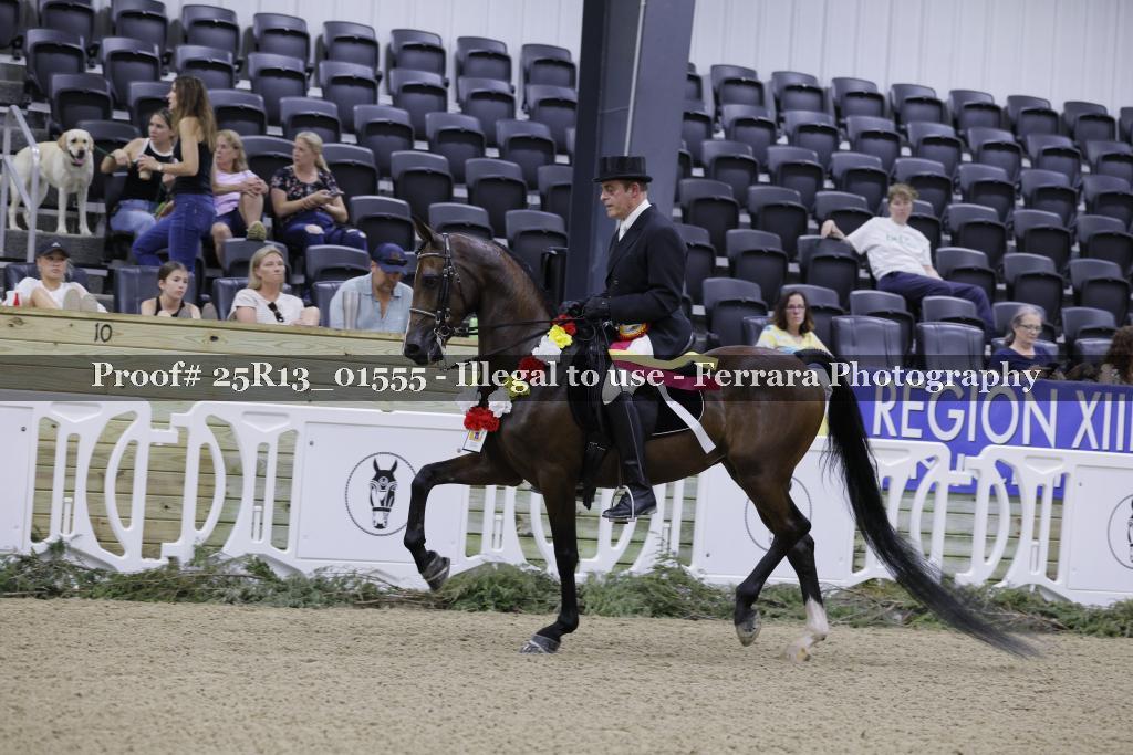 Proof Number 25R13_01555