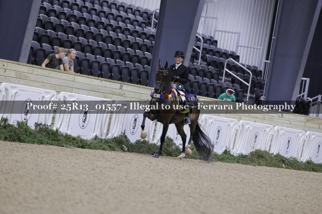 Proof Number 25R13_01557