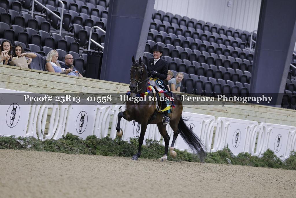 Proof Number 25R13_01558