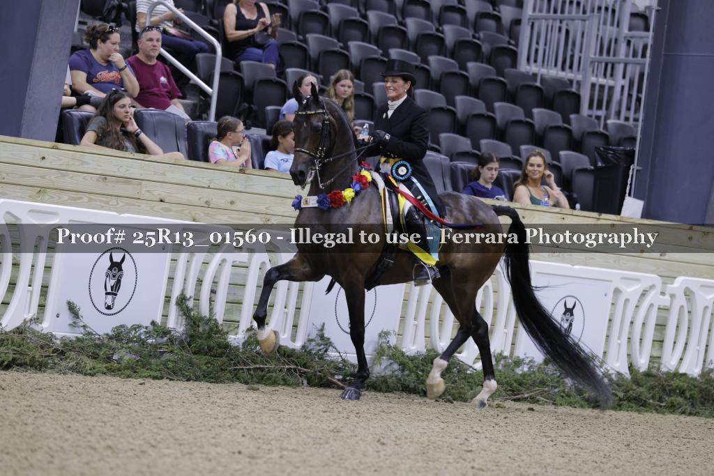 Proof Number 25R13_01560