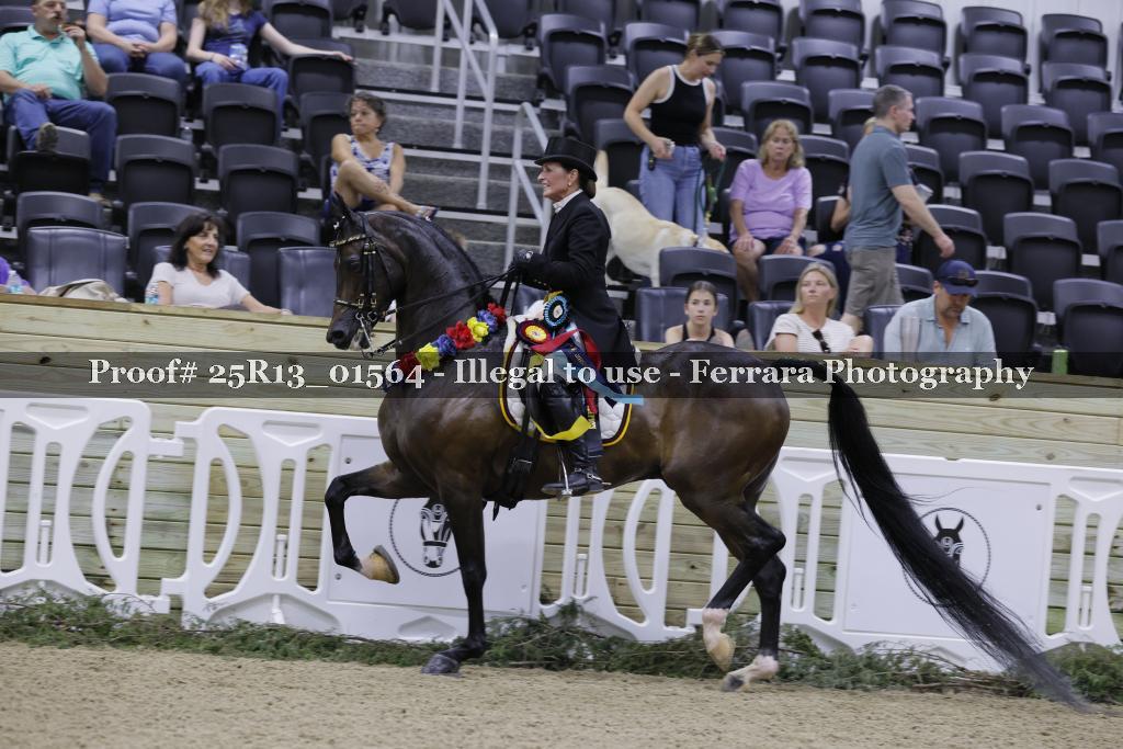 Proof Number 25R13_01564
