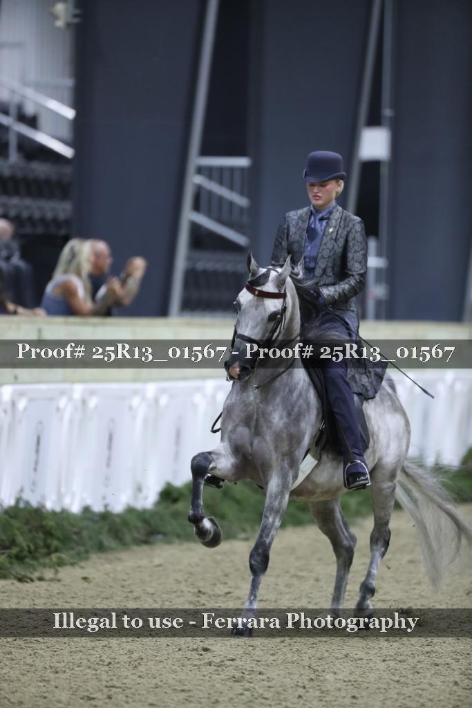 Proof Number 25R13_01567