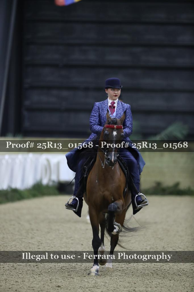 Proof Number 25R13_01568