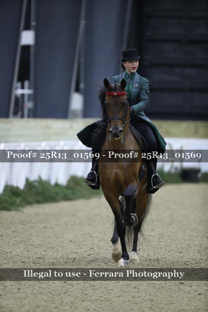 Proof Number 25R13_01569