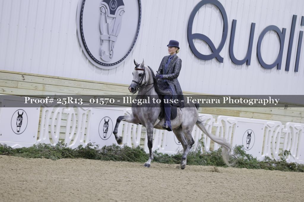 Proof Number 25R13_01570