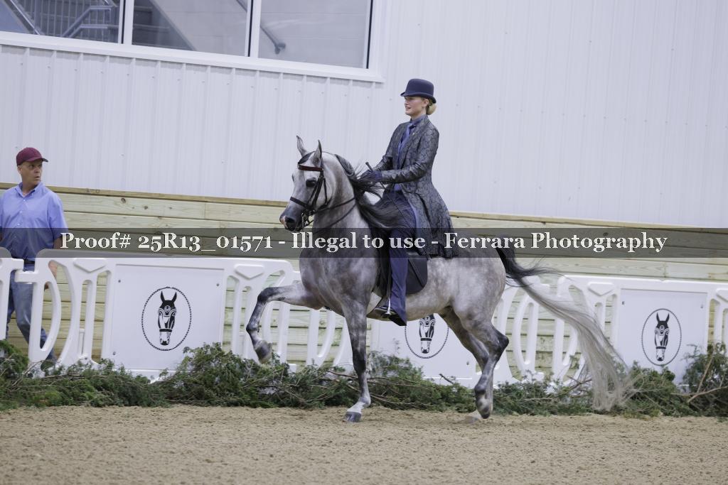 Proof Number 25R13_01571