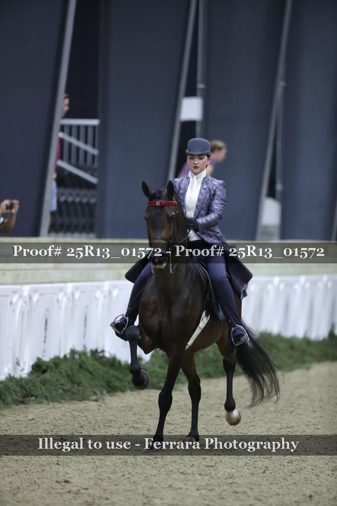 Proof Number 25R13_01572