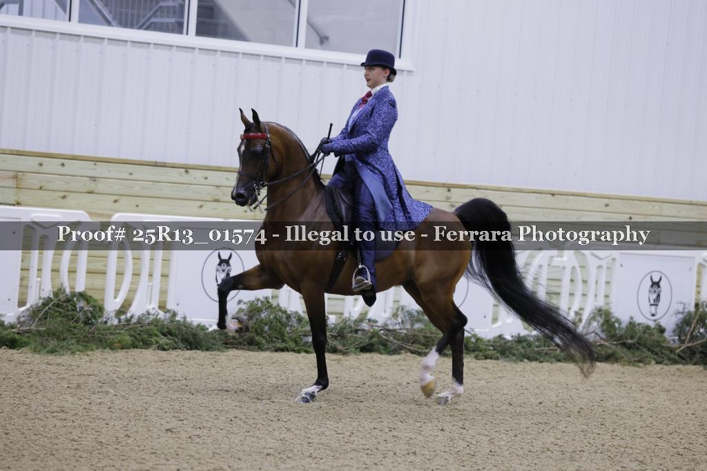 Proof Number 25R13_01574
