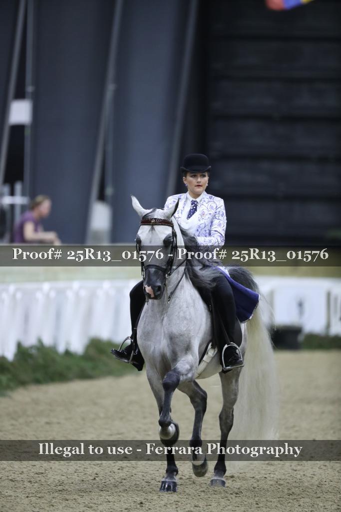 Proof Number 25R13_01576
