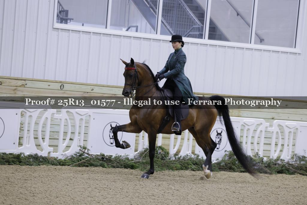 Proof Number 25R13_01577