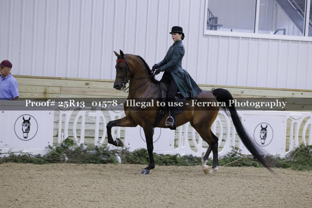 Proof Number 25R13_01578