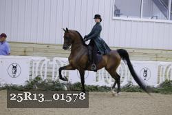25R13_01578 thumbnail