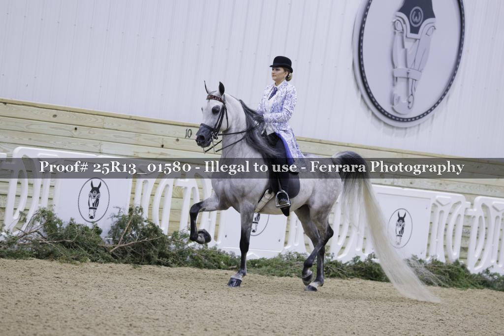 Proof Number 25R13_01580