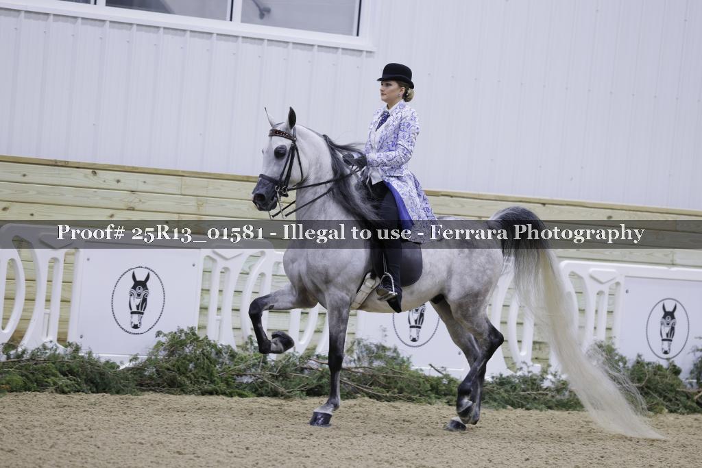 Proof Number 25R13_01581