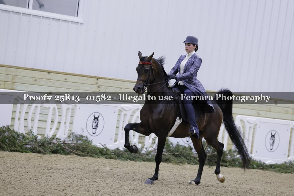 Proof Number 25R13_01582