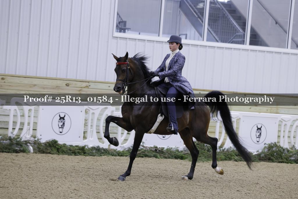 Proof Number 25R13_01584