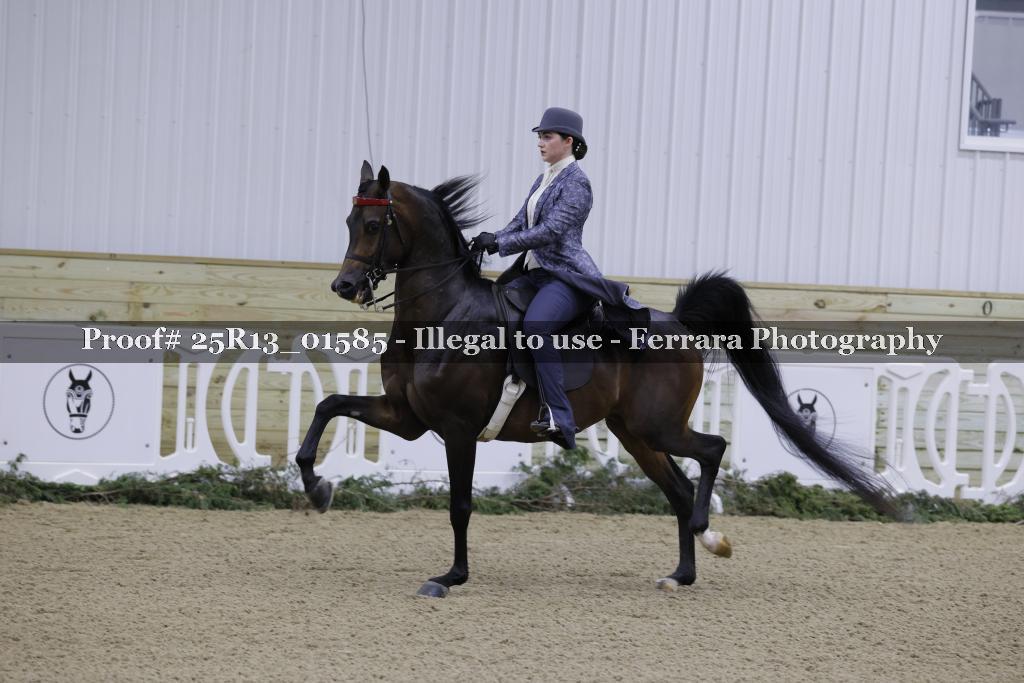 Proof Number 25R13_01585