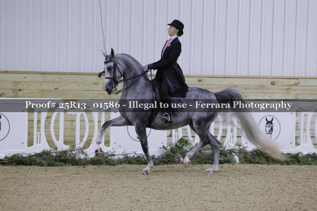Proof Number 25R13_01586