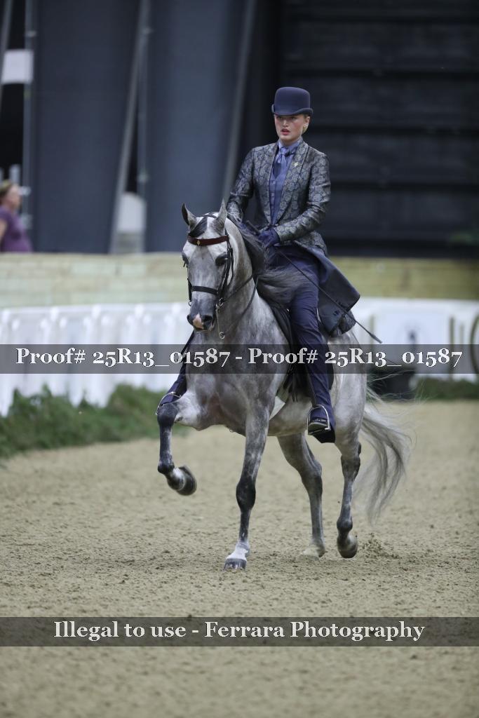 Proof Number 25R13_01587