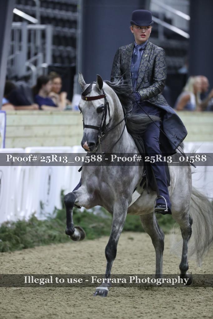Proof Number 25R13_01588