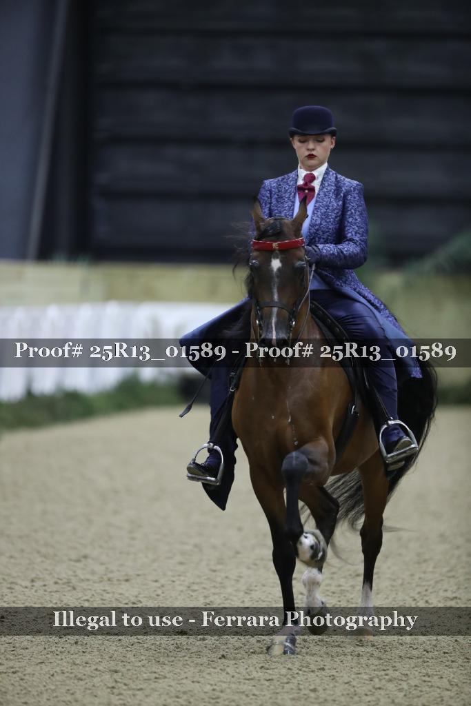 Proof Number 25R13_01589