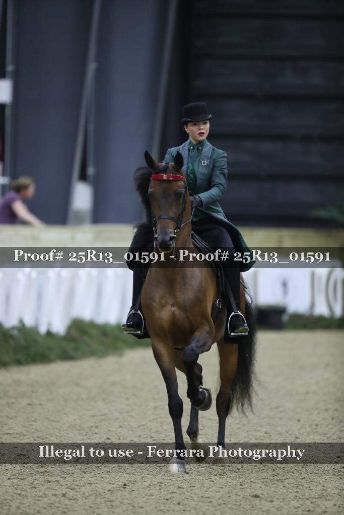 Proof Number 25R13_01591