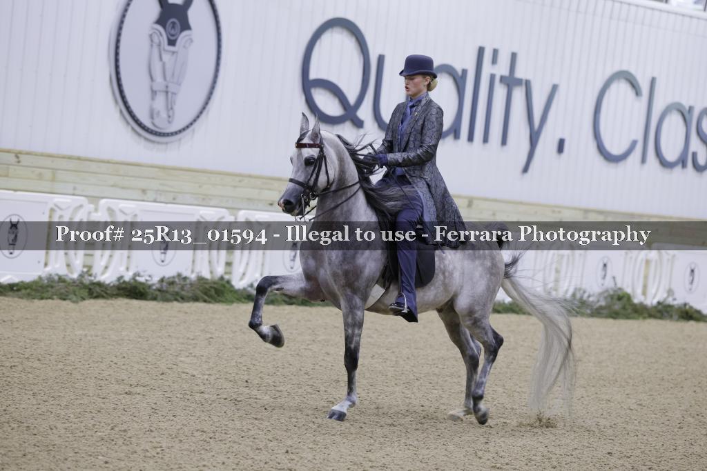 Proof Number 25R13_01594