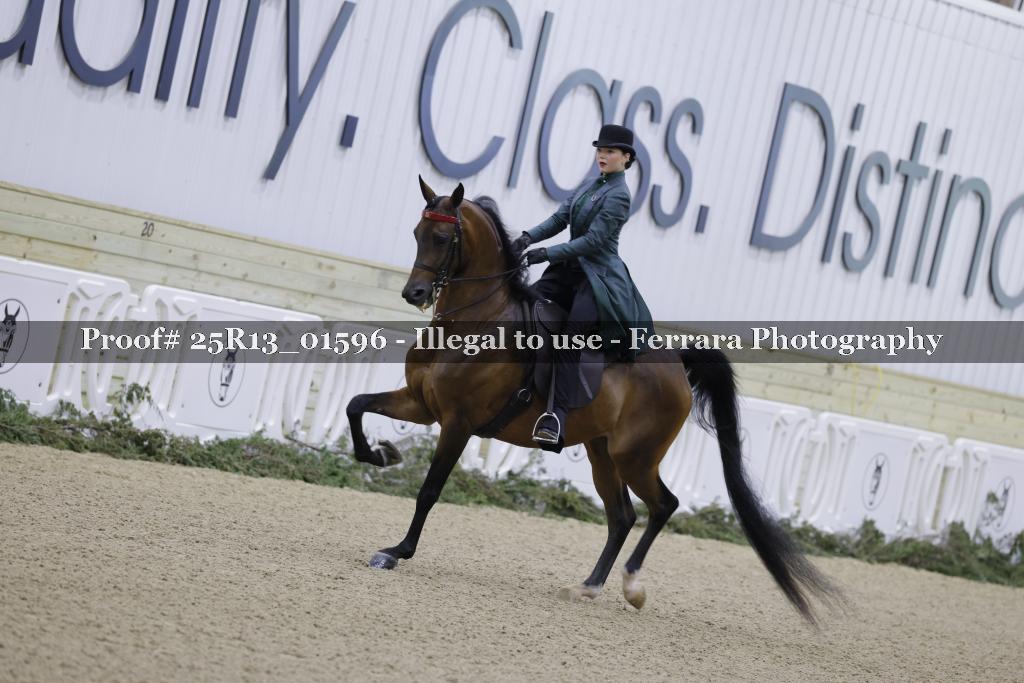 Proof Number 25R13_01596
