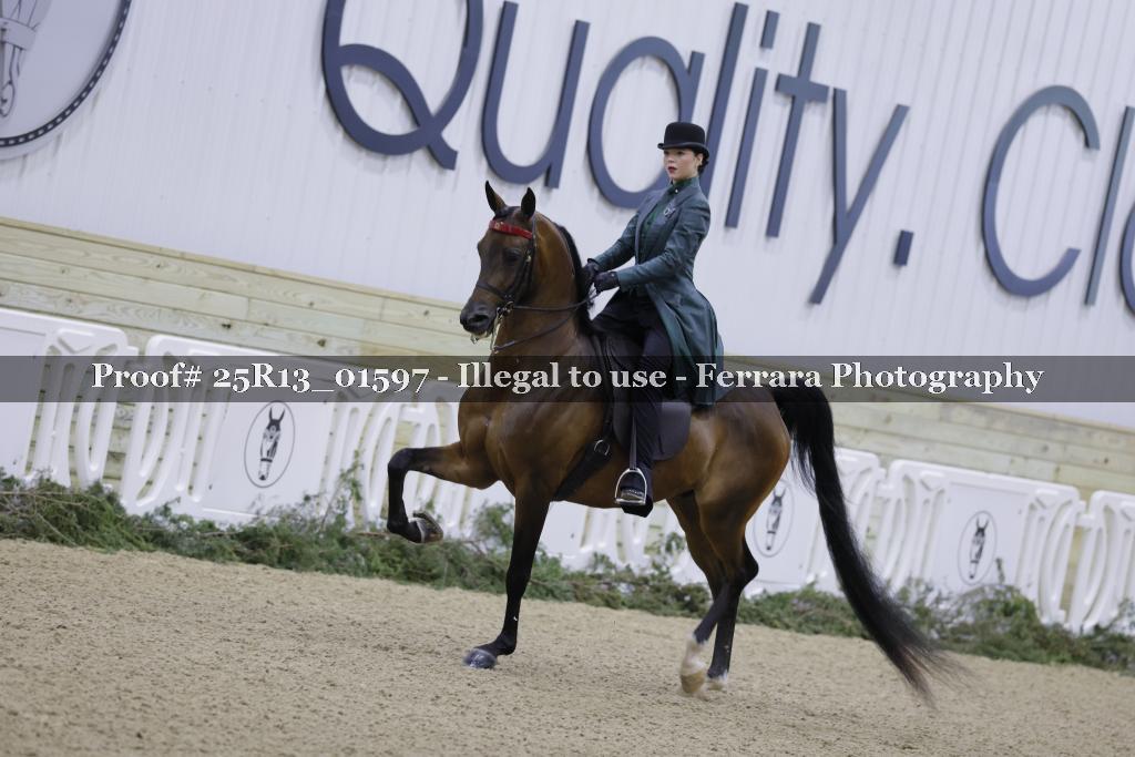Proof Number 25R13_01597