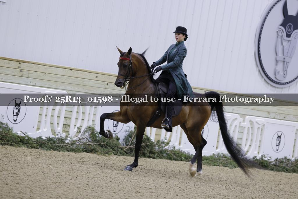 Proof Number 25R13_01598