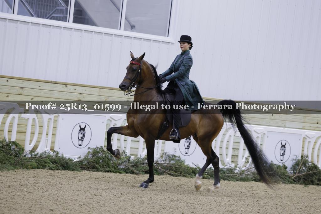 Proof Number 25R13_01599