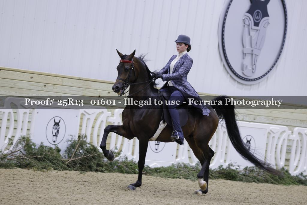 Proof Number 25R13_01601