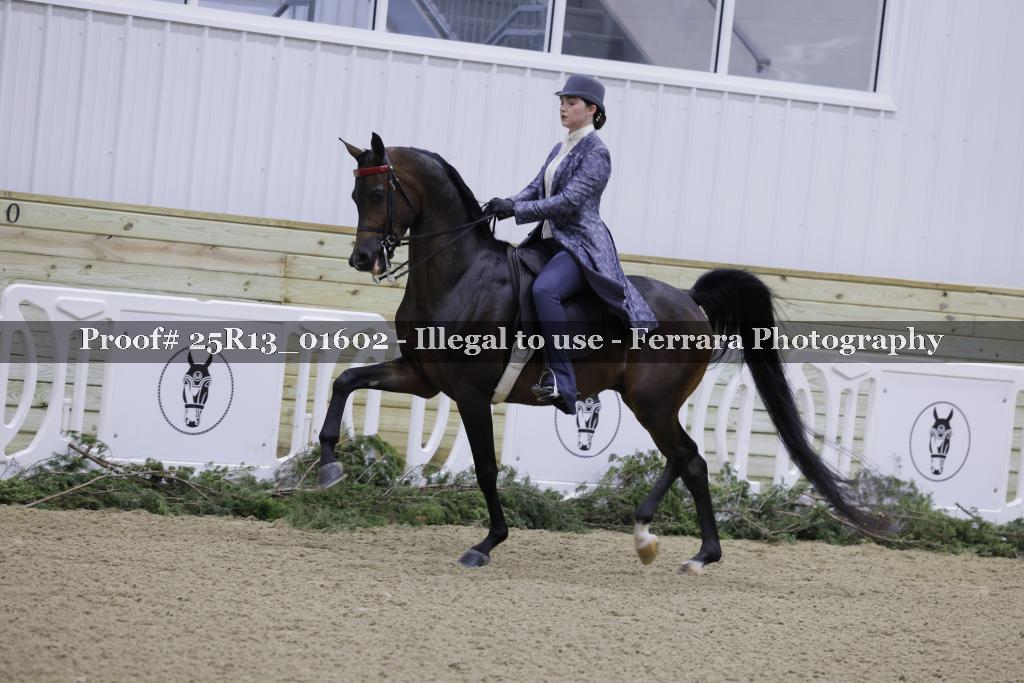 Proof Number 25R13_01602