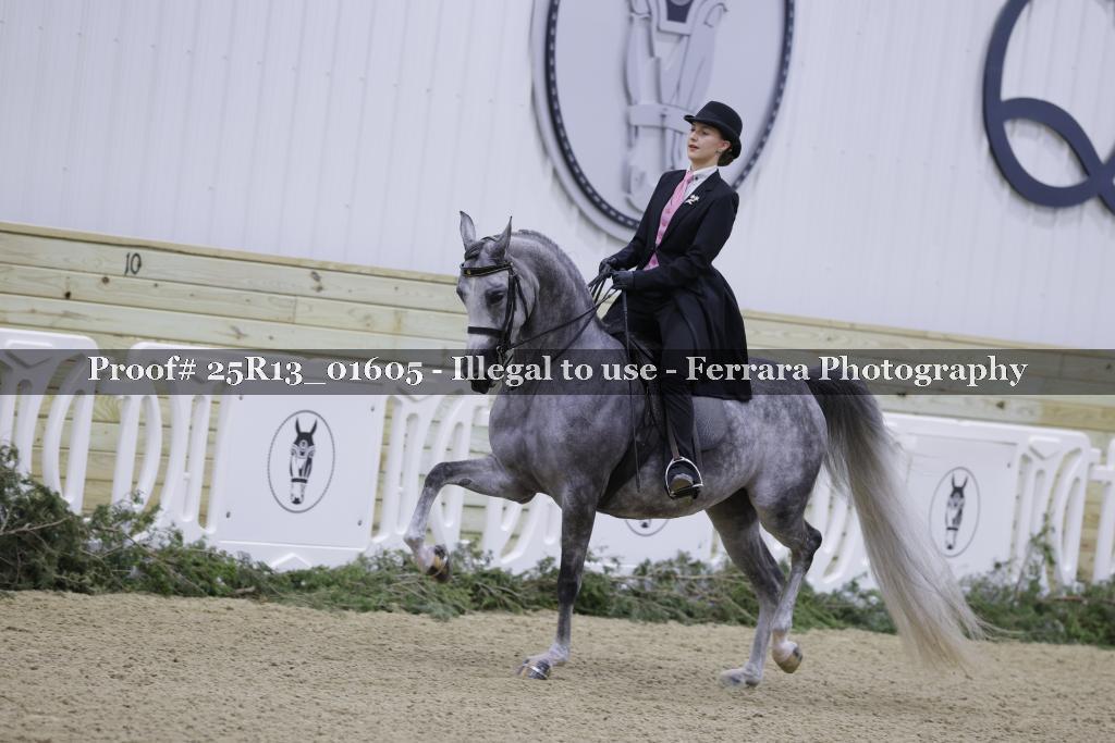 Proof Number 25R13_01605