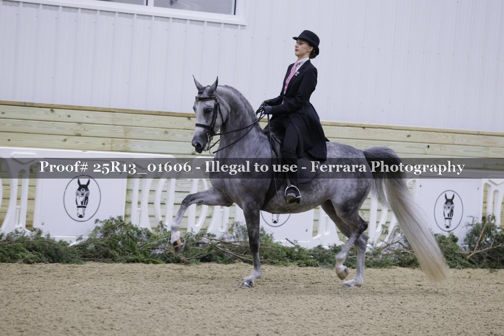 Proof Number 25R13_01606
