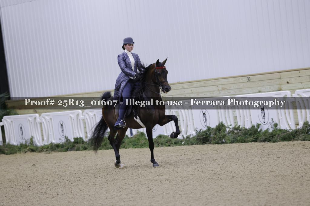 Proof Number 25R13_01607