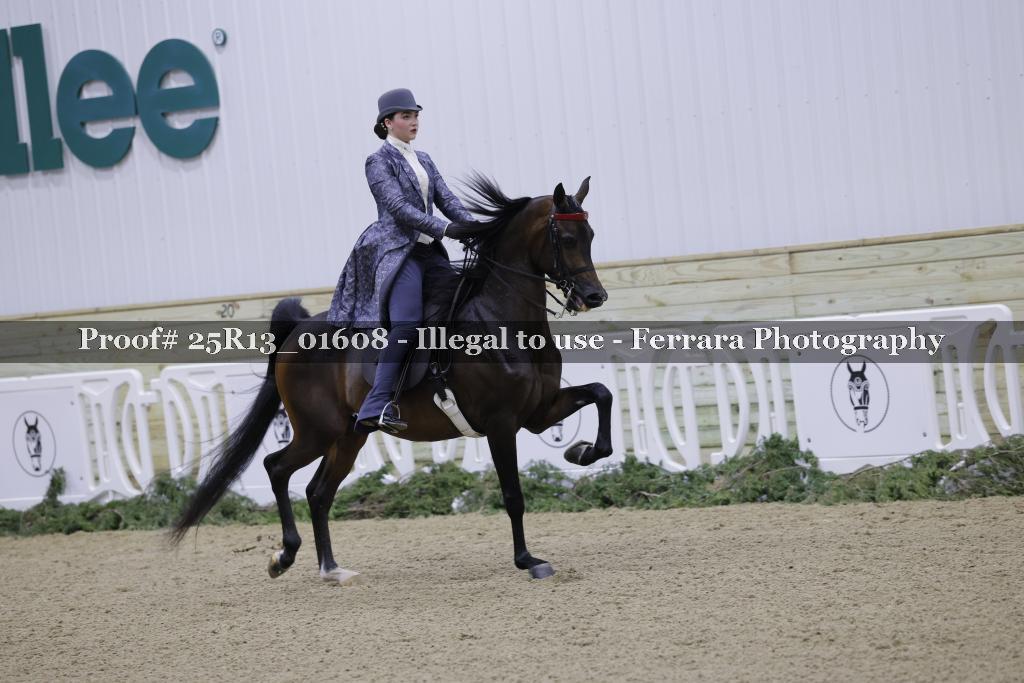 Proof Number 25R13_01608