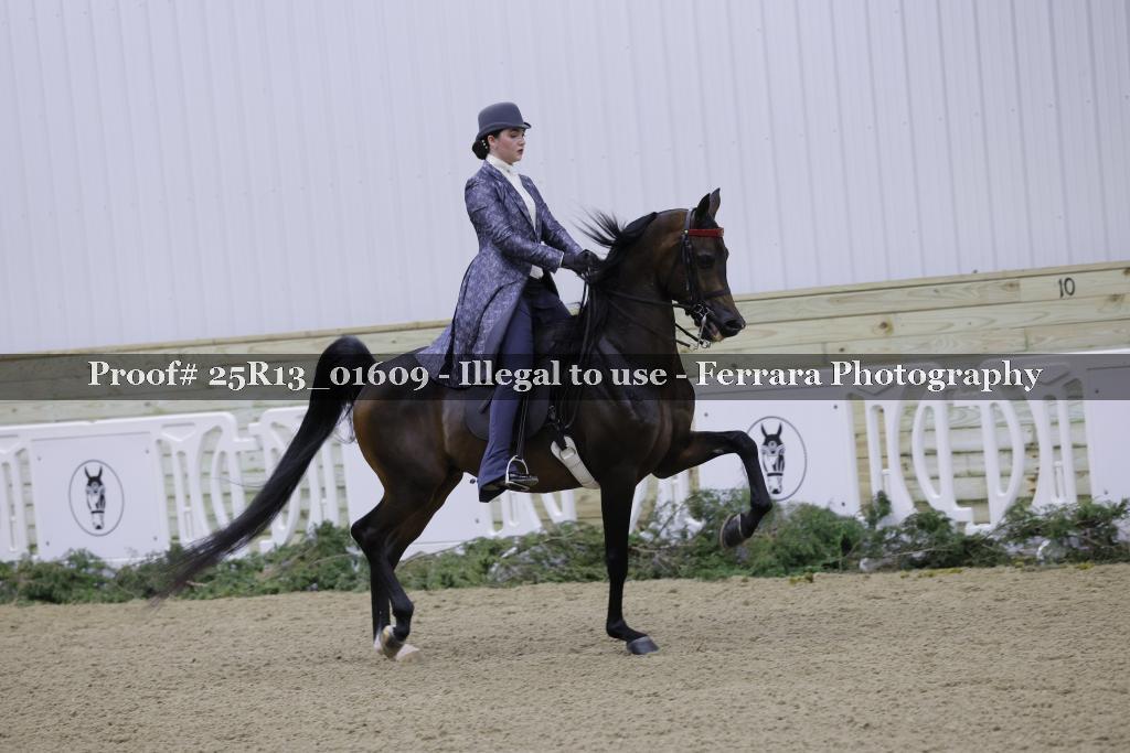 Proof Number 25R13_01609