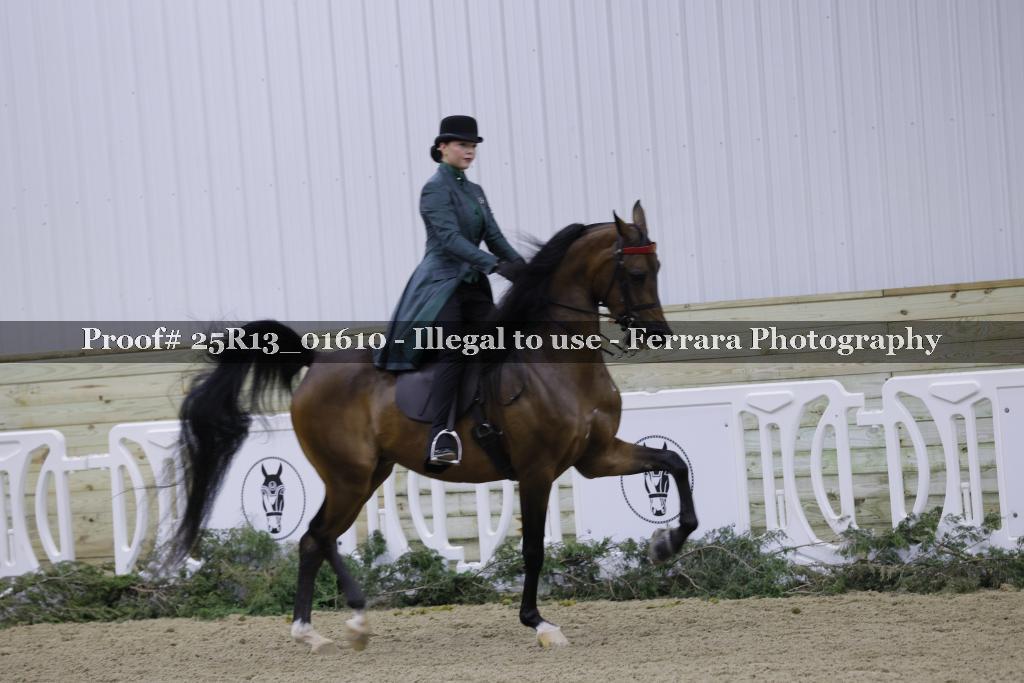 Proof Number 25R13_01610