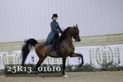 25R13_01610 thumbnail